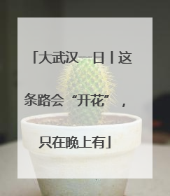 大武汉一日丨这条路会“开花”，只在晚上有