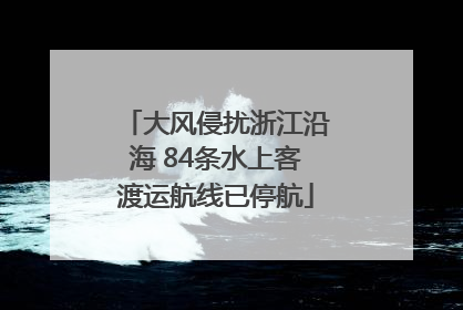 大风侵扰浙江沿海 84条水上客渡运航线已停航
