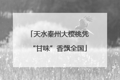 天水秦州大樱桃凭“甘味”香飘全国