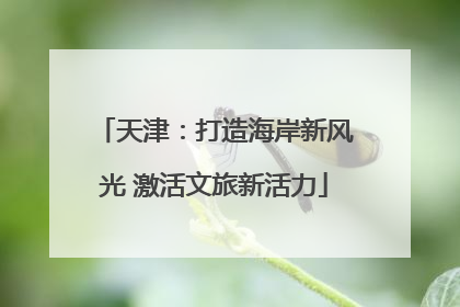 天津：打造海岸新风光 激活文旅新活力