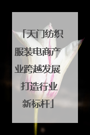 天门纺织服装电商产业跨越发展 打造行业新标杆