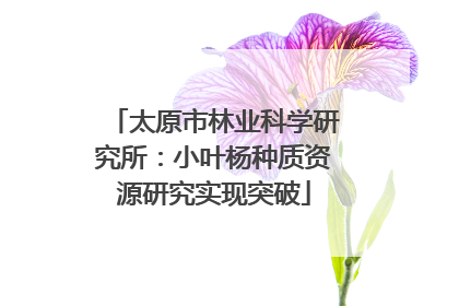 太原市林业科学研究所：小叶杨种质资源研究实现突破