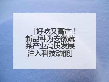 好吃又高产！新品种为安徽蔬菜产业高质发展注入科技动能
