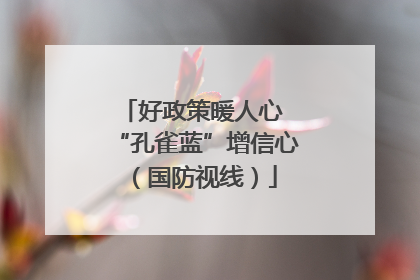 好政策暖人心 “孔雀蓝”增信心（国防视线）