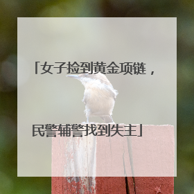 女子捡到黄金项链，民警辅警找到失主