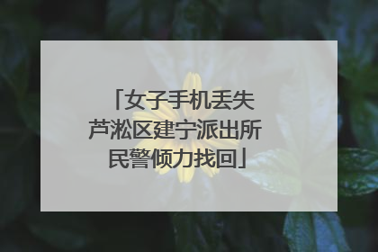 女子手机丢失 芦淞区建宁派出所民警倾力找回