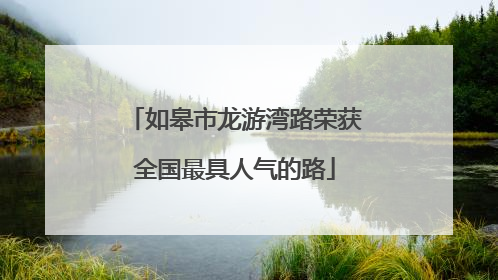 如皋市龙游湾路荣获全国最具人气的路