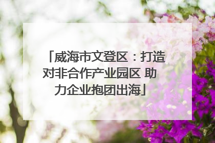 威海市文登区：打造对非合作产业园区 助力企业抱团出海