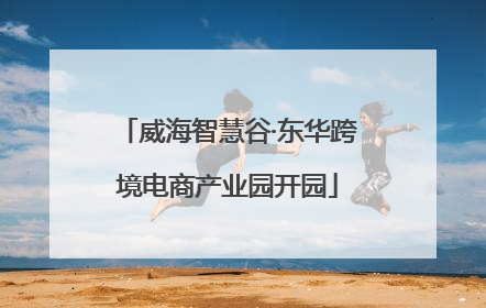 威海智慧谷·东华跨境电商产业园开园