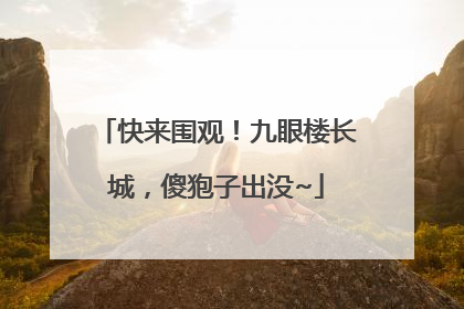 快来围观！九眼楼长城，傻狍子出没~