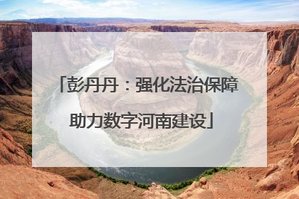 彭丹丹：强化法治保障 助力数字河南建设