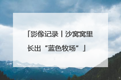 影像记录丨沙窝窝里长出“蓝色牧场”