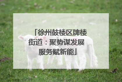 徐州鼓楼区牌楼街道：聚势谋发展 服务赋新能