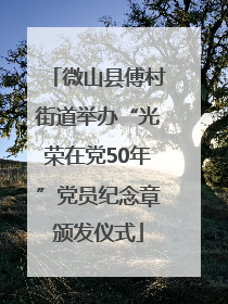 微山县傅村街道举办“光荣在党50年”党员纪念章颁发仪式