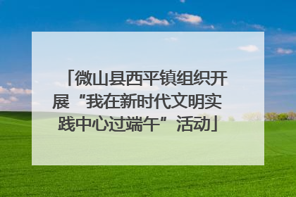 微山县西平镇组织开展“我在新时代文明实践中心过端午”活动