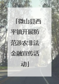微山县西平镇开展防范涉农非法金融宣传活动
