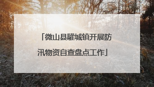 微山县驩城镇开展防汛物资自查盘点工作