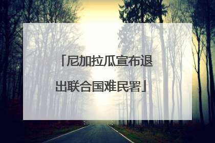 尼加拉瓜宣布退出联合国难民署
