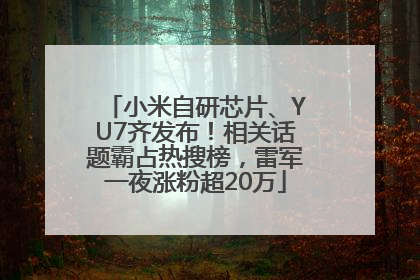 小米自研芯片、YU7齐发布！相关话题霸占热搜榜，雷军一夜涨粉超20万