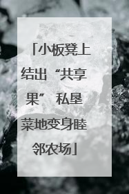 小板凳上结出“共享果” 私垦菜地变身睦邻农场