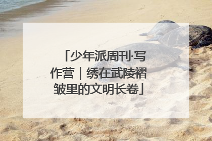 少年派周刊·写作营｜绣在武陵褶皱里的文明长卷