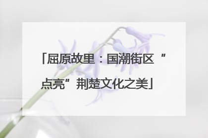 屈原故里：国潮街区“点亮”荆楚文化之美