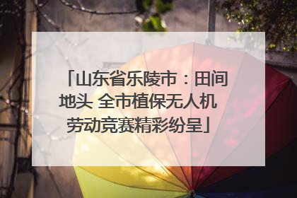 山东省乐陵市：田间地头 全市植保无人机劳动竞赛精彩纷呈