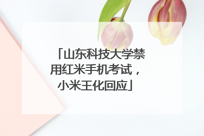 山东科技大学禁用红米手机考试，小米王化回应