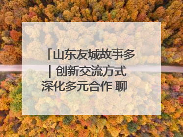 山东友城故事多｜创新交流方式 深化多元合作 聊城加速构建全球友城新格局