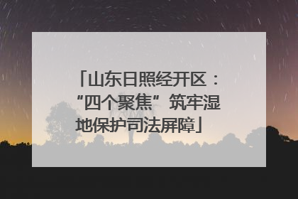 山东日照经开区：“四个聚焦”筑牢湿地保护司法屏障