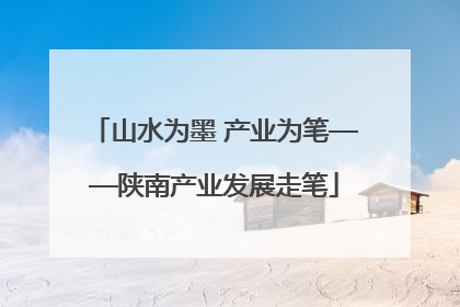 山水为墨 产业为笔——陕南产业发展走笔