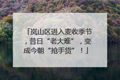 岚山区进入麦收季节，昔日“老大难”，变成今朝“抢手货”！