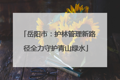岳阳市：护林管理新路径全力守护青山绿水