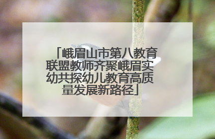 峨眉山市第八教育联盟教师齐聚峨眉实幼共探幼儿教育高质量发展新路径