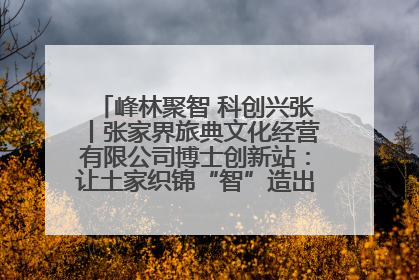 峰林聚智 科创兴张丨张家界旅典文化经营有限公司博士创新站：让土家织锦“智”造出非遗新传奇