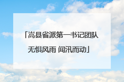 嵩县省派第一书记团队 无惧风雨 闻汛而动
