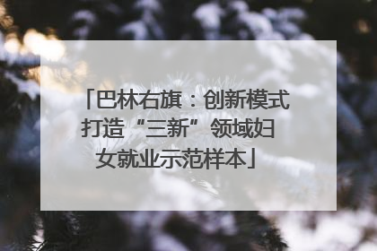 巴林右旗：创新模式 打造“三新”领域妇女就业示范样本