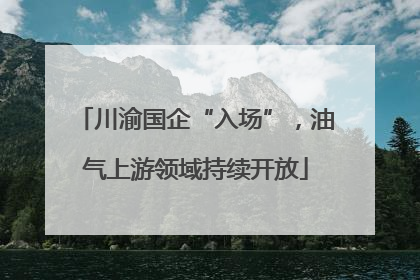 川渝国企“入场”，油气上游领域持续开放