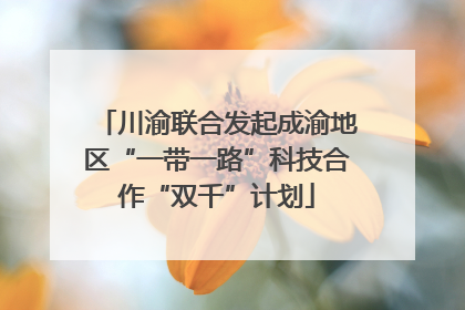 川渝联合发起成渝地区“一带一路”科技合作“双千”计划