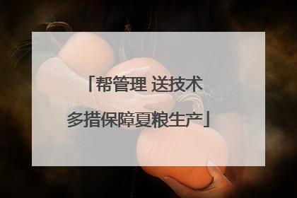 帮管理 送技术 多措保障夏粮生产