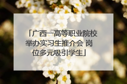 广西一高等职业院校举办实习生推介会 岗位多元吸引学生