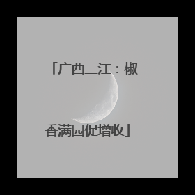 广西三江：椒香满园促增收