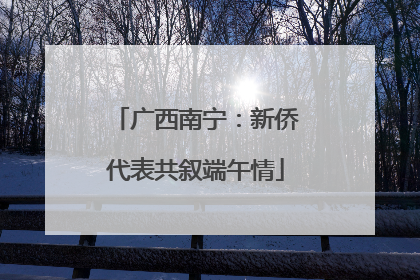 广西南宁：新侨代表共叙端午情