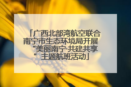 广西北部湾航空联合南宁市生态环境局开展“美丽南宁·共建共享”主题航班活动