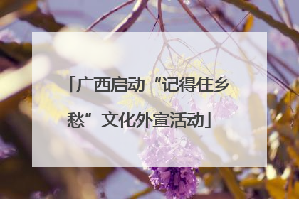 广西启动“记得住乡愁”文化外宣活动