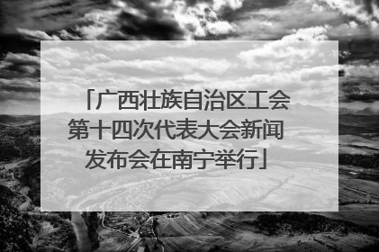 广西壮族自治区工会第十四次代表大会新闻发布会在南宁举行