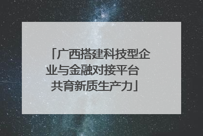 广西搭建科技型企业与金融对接平台 共育新质生产力