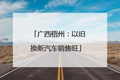 广西梧州：以旧换新汽车销售旺