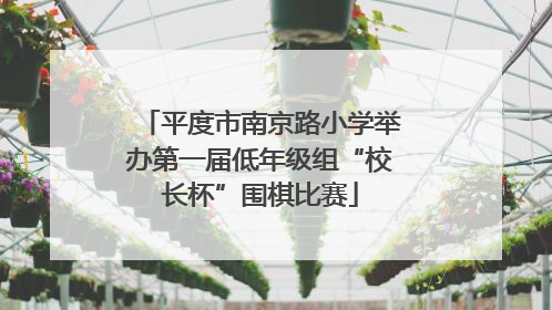 平度市南京路小学举办第一届低年级组“校长杯”围棋比赛