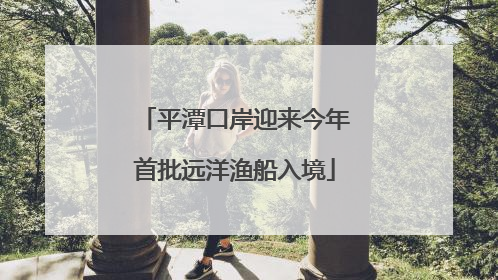 平潭口岸迎来今年首批远洋渔船入境